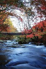 強滝（鮫川村）